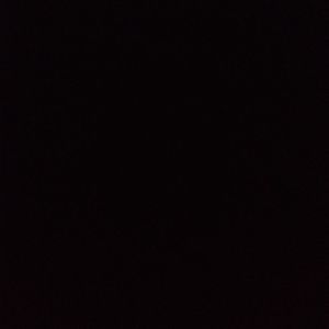 Meet your Posher, Randy